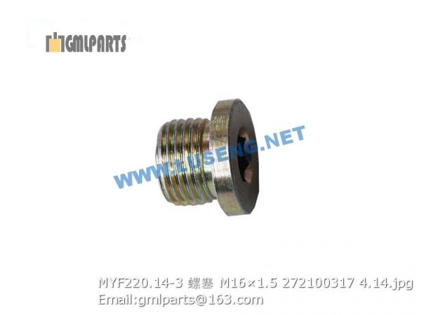 ,272100317 MYF220.14-3 PLUG M16×1.5