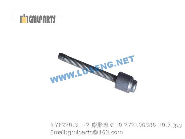 ,272100386 MYF220.3.1-2 PLUG