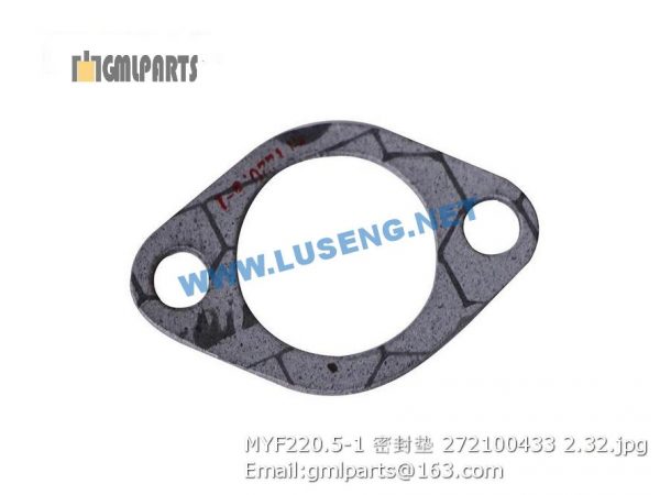 ,272100433 MYF220.5-1 Gasket