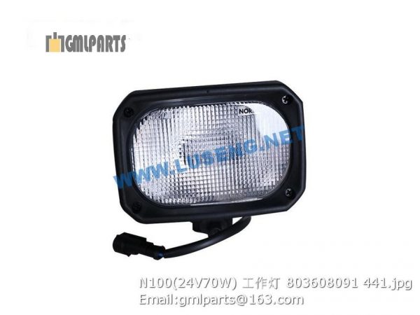 ,803608091 N100 24V 70W LAMP