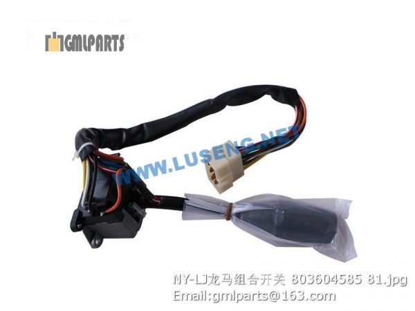 ,803604585 NY-LJ Switch XCMG