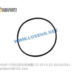 ,803183591 QRAR04247-V7002 SEAL RING 117.07×3.53