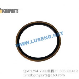 ,805301419 QSC1294-2000 WASHER 39