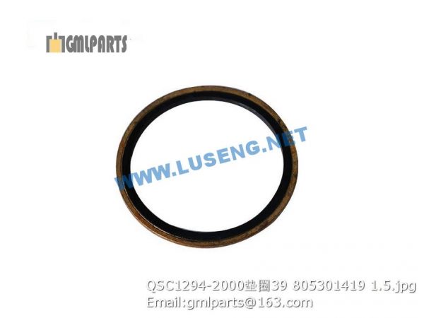 ,805301419 QSC1294-2000 WASHER 39