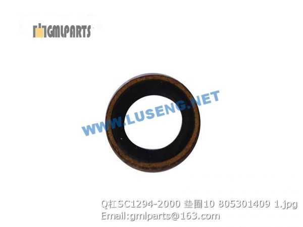 ,805301409 Q/SC1294-2000 Washer 10
