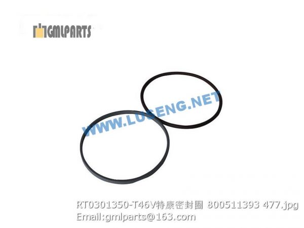 ,800511393 RT0301350-T46V seal ring
