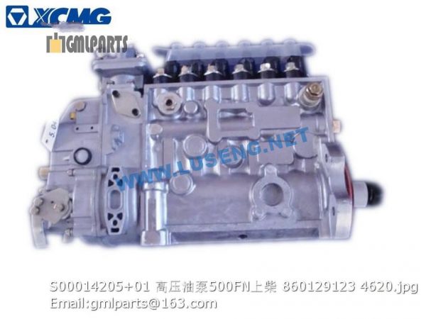 ,860129123 S00014205+01 FUEL INJECTION PUMP LW500FN