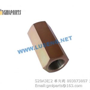 ,803073807 S20A3/2 check valve