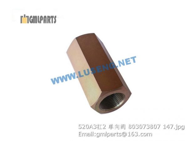 ,803073807 S20A3/2 check valve