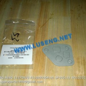 ,SEALING RING 12270878 4110000054191 SP105133 W010251550