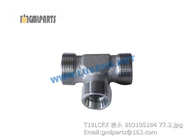 ,803105184 T18LCFX JOINT