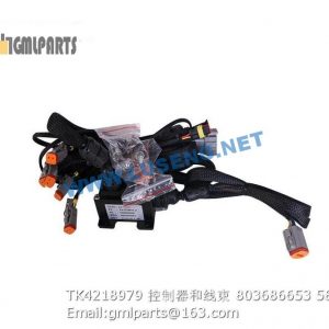 ,803686653 TK4218979 GEAR SELECTOR AND HARNESS