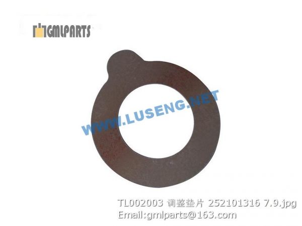 ,252101316 TL002003 ADJUSTING SHIM