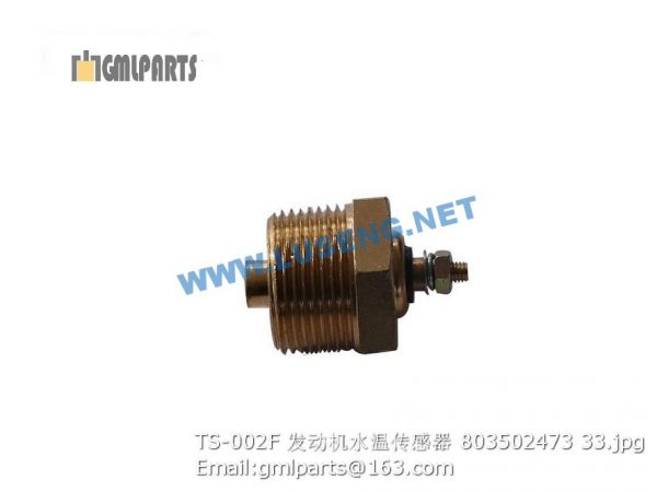 ,803502473 TS-002F WATER TEMPERATURE SENSOR