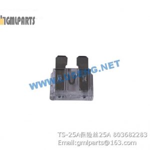 ,803682283 TS-25A FUSE 25A