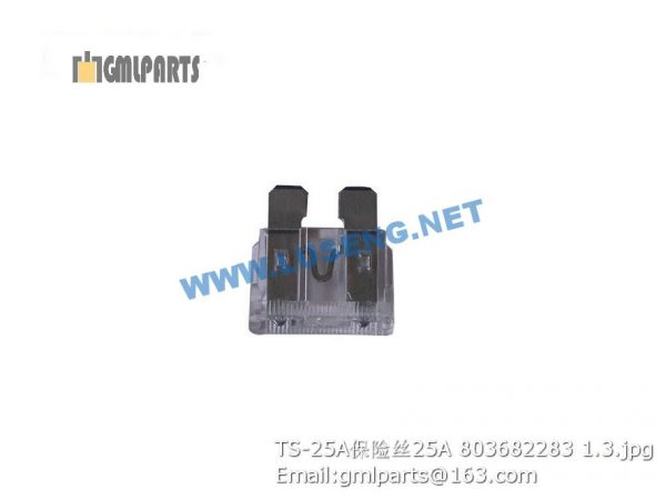 ,803682283 TS-25A FUSE 25A