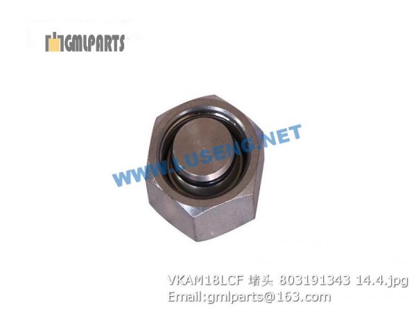,803191343 VKAM18LCF PLUG XCMG