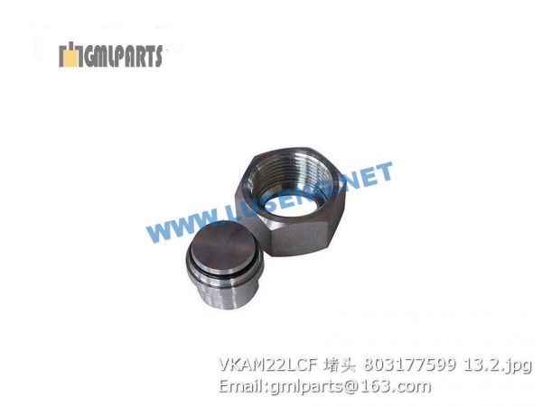 ,803177599 VKAM22LCF plug xcmg