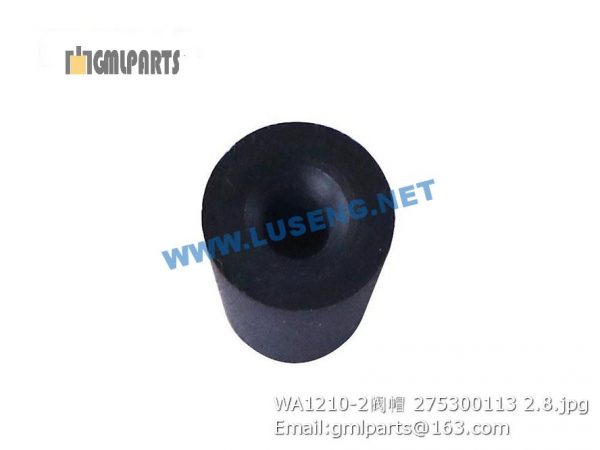 ,275300113 WA1210-2 Cap XCMG