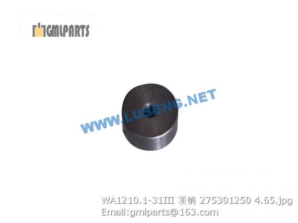 ,275301250 WA1210.1-31III PIN