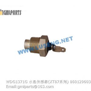 ,860129603 WDG1371G water temperature sensor