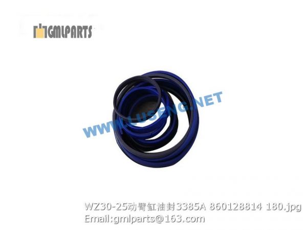 ,860128814 WZ30-25 LIFT CYLINDER REPAIR KITS 3385A