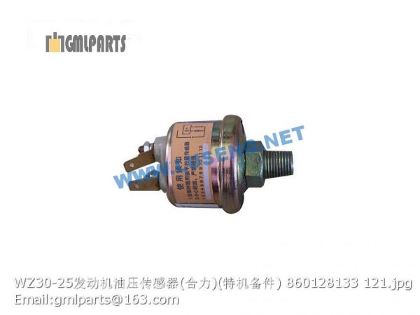 ,860128133 WZ30-25 OIL PRESSURE SENSOR