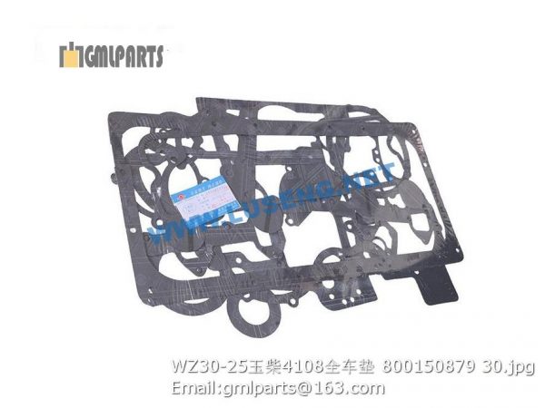 ,800150879 WZ30-25 YUCHAI 4108 REPAIR KITS