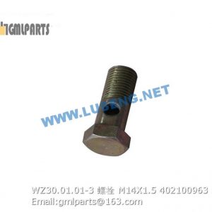 ,402100963 WZ30.01.01-3 BOLT M14X1.5