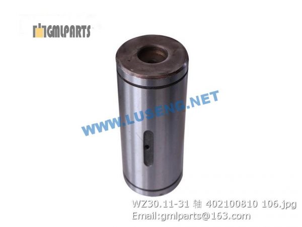 ,402100810 WZ30.11-31 XCMG PIN