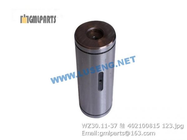 ,402100815 WZ30.11-37 pin xcmg