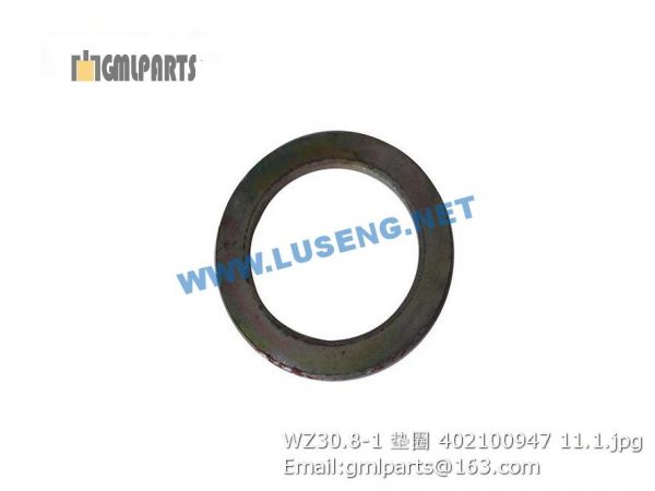 ,402100947 WZ30.8-1 Gasket