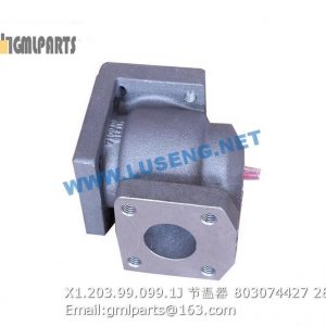 ,803074427 X1.203.99.099.1J THERMOSTAT