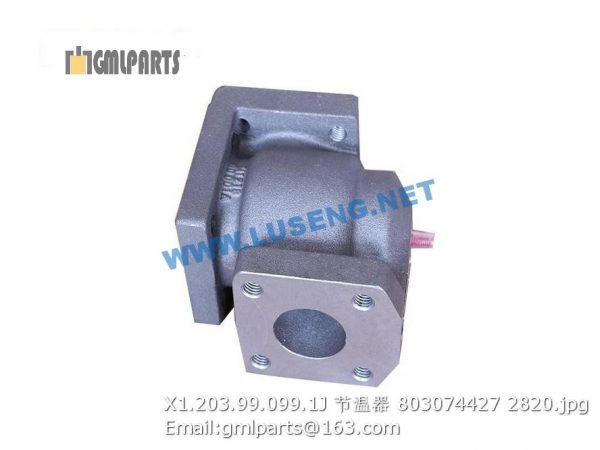 ,803074427 X1.203.99.099.1J THERMOSTAT