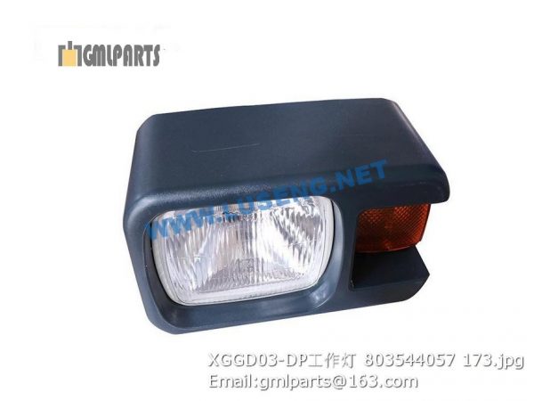 ,803544057 XGGD03-DP Working Lamp