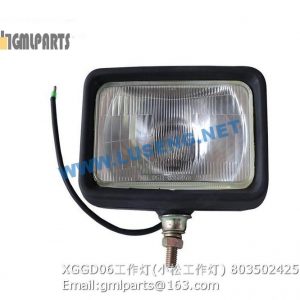 ,803502425 XGGD06 WORKING LAMP 5001380