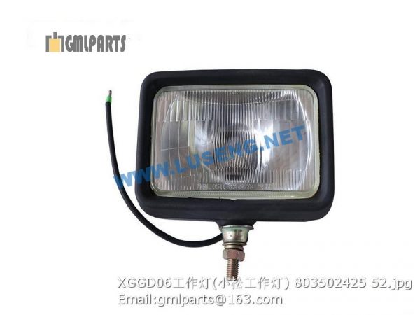 ,803502425 XGGD06 WORKING LAMP 5001380