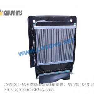 ,800351668 XGSX01-65E LW600KN Radiator Assembly