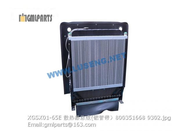 ,800351668 XGSX01-65E LW600KN Radiator Assembly