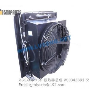 ,800348891 XGSX01-78D Water Radiator LW500FN