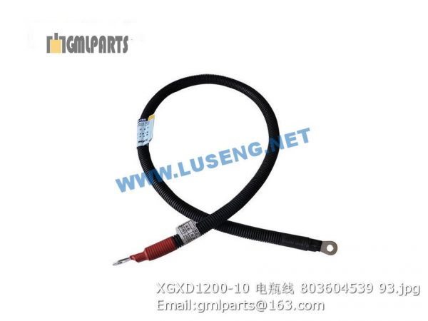 ,803604539 XGXD1200-10 BATTERY WIRE