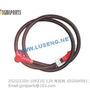 ,803684981 XGXD2300-10RZ1/13R BATTERY WIRE