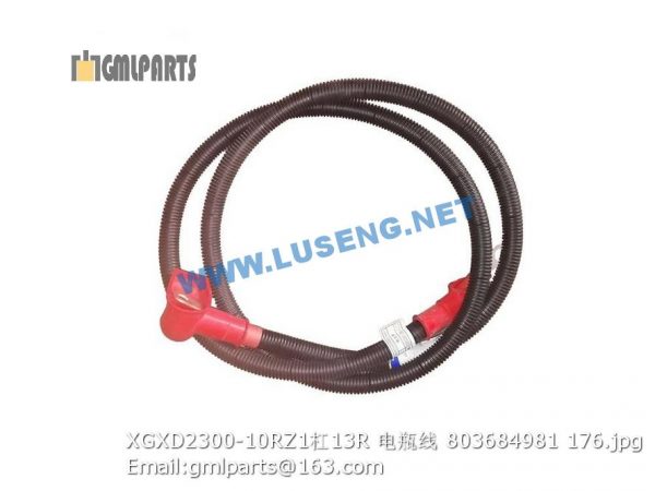 ,803684981 XGXD2300-10RZ1/13R BATTERY WIRE