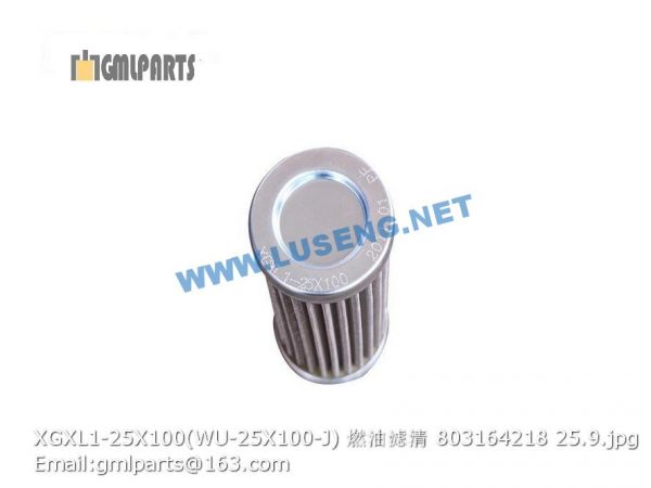 803164218 XGXL1-25X100 WU-25X100-J FILTER - Image 2