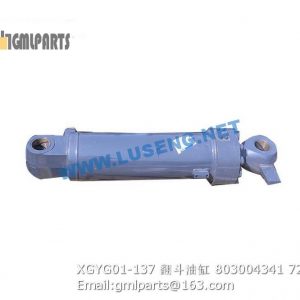 ,803004341 XGYG01-137 tilt cylinder xcmg