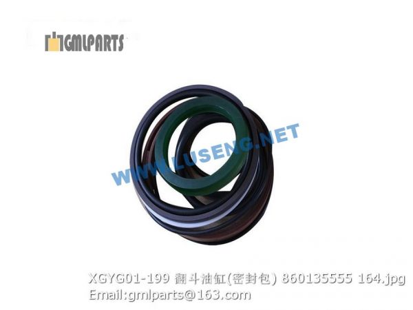 ,860135555 XGYG01-199 dump cylinder seals