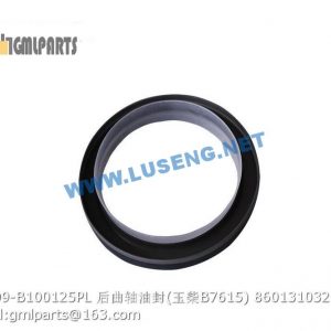 ,860131032 YC209-B100X125PL CRANKSHAFT OIL SEAL REAR