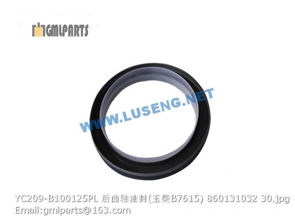 ,860131032 YC209-B100X125PL CRANKSHAFT OIL SEAL REAR