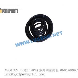 ,860140947 YGDF32-00D 25MPa MULTIPLE VALVE REPAIR KITS