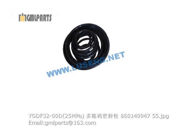 ,860140947 YGDF32-00D 25MPa MULTIPLE VALVE REPAIR KITS